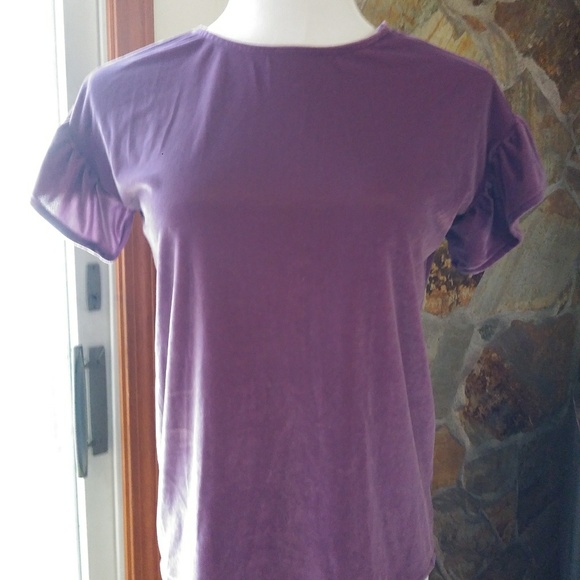 GAP Other - Gap Kids Velvet Ruffled Sleeve Shirt